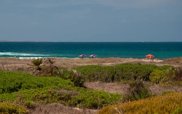 Playa Arutas Cerdeña Italia Verano — Foto de Stock