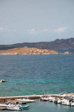 Sardunya manzarası liscia di vacca yaz 2022