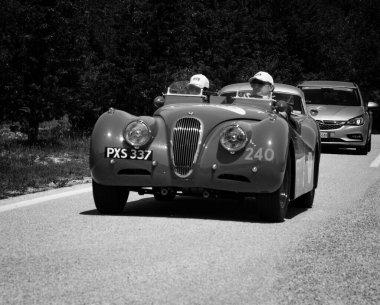 URBINO, İtalya - 16 Haziran 2022: JAGUAR XK120 OTS YOADSTER 1952 Mille Miglia 2022 rallisinde eski bir yarış arabası üzerinde ünlü İtalyan tarihi yarışı