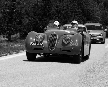 URBINO, İtalya - 16 Haziran 2022: JAGUAR XK120 OTS YOADSTER 1952 Mille Miglia 2022 rallisinde eski bir yarış arabası üzerinde ünlü İtalyan tarihi yarışı