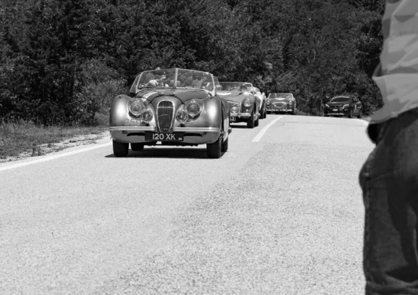 Urbino Olaszország Június 2022 Jaguar Xk120 Ots Lightweight 1949 Egy — Stock Fotó