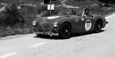 URBINO, İTALYA - 16 Haziran 2022: AUSTIN HEALEY 100 4 1955 Mille Miglia 2022 rallisindeki eski bir yarış arabasında ünlü İtalyan tarihi yarışı