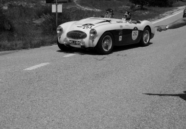 URBINO, İtalya - 16 Haziran 2022: AUSTIN HEALEY 100 S 1955 Mille Miglia 2022 rallisindeki eski bir yarış arabasında ünlü İtalyan tarihi yarışı