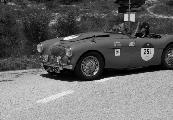 Urbino Itália Jun 2022 Austin Healey 100 1953On Old Racing — Fotografia de Stock