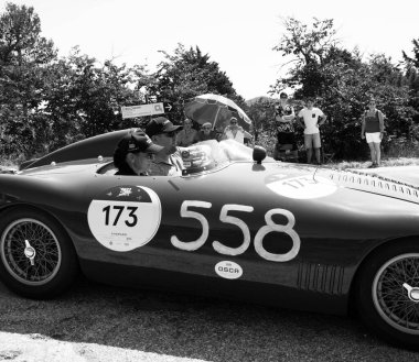 URBINO - ITALY - JUN 16 - 2022 : O.S.C.A. MT 4 - TN 1500 1955 on an old racing car in rally Mille Miglia 2022 the famous italian historical race