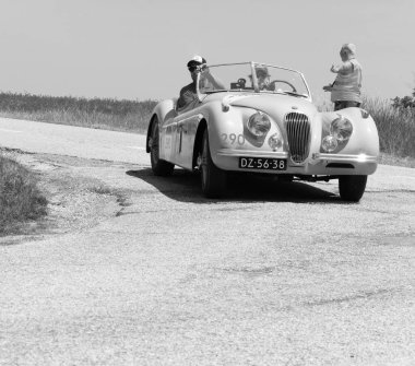 URBINO, ITALY - JUN 16 - 2022 : JAGUAR XK120 OTS ROADSTER 1954 on an old racing car in rally Mille Miglia 2022 the famous italian historical race