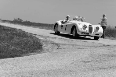 URBINO, ITALY - JUN 16 - 2022 : JAGUAR XK120 OTS ROADSTER 1954 on an old racing car in rally Mille Miglia 2022 the famous italian historical race