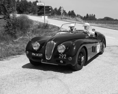 URBINO, ITALY - JUN 16 - 2022 : JAGUAR XK140 OTS ROADSTER 1956 on an old racing car in rally Mille Miglia 2022 the famous italian historical race
