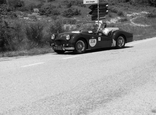 Urbino Italy Jun 2022 Triumph Tr2 Sports 1954 Old Racing — Stok fotoğraf