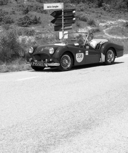 Urbino Italy Jun 2022 Triumph Tr2 Sports 1954 Old Racing — Stockfoto