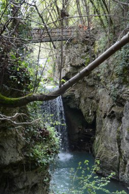 Pioraco, İtalya 'nın şelalesi, orman arazisindeki şelale...