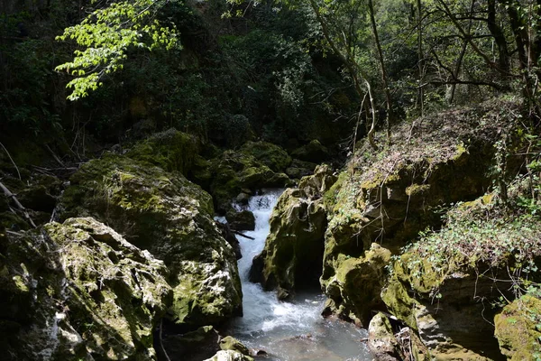 Водоспад Піорако Італія Ландшафтний Водоспад Лісах Ферми Апенніні — стокове фото
