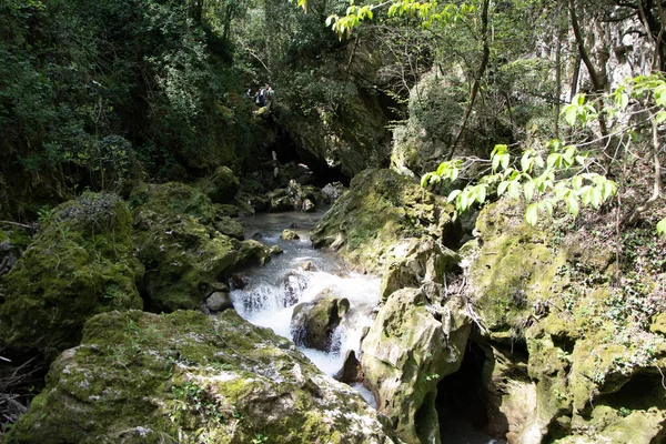 Cachoeira Pioraco Itália Paisagem Cachoeira Floresta Appennini Montain — Fotografia de Stock