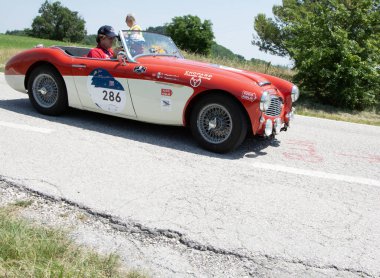 URBINO, İtalya - 16 Haziran 2022: AUSTIN HEALEY 100 6 1957 Mille Miglia 2022 rallisindeki eski bir yarış arabasında ünlü İtalyan tarihi yarışı