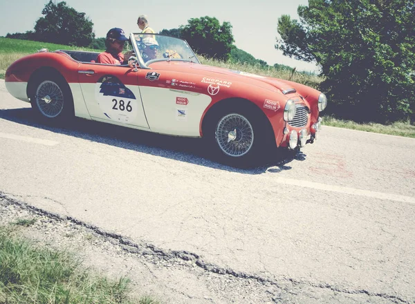 Urbino イタリア 2022年6月16日 2022年6月6日 Austin Healey 100 1957 Old Race — ストック写真