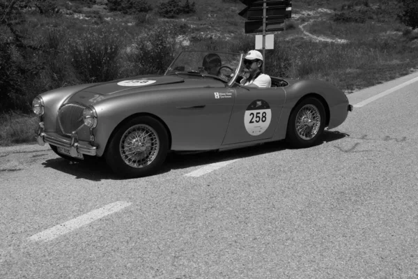 Urbino Itália Jun 2022 Austin Healey 100 1953 Antigo Carro — Fotografia de Stock