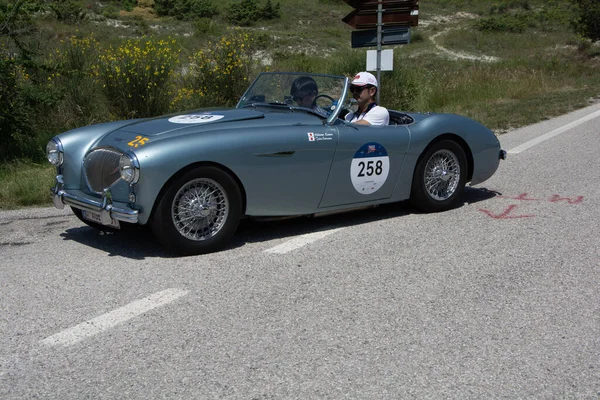 URBINO, İTALYA - 16 Haziran 2022: AUSTIN HEALEY 100 YIL 1953 Mille Miglia 2022 yarışında eski bir yarış arabası