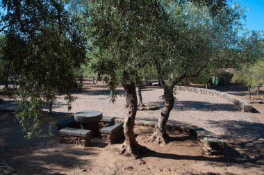 Paulilatino - İtalya - 20 Ağustos - 2022 Yaz: 2022 Arkeolojik Santuario Nuragico Santa Cristina Sardinia İtalya