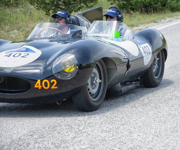 Urbino イタリア 2022年6月16日 2022年6月16日 Jaguar Type 1956 Old Racing Car — ストック写真