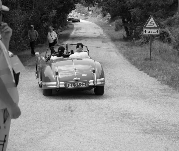 Urbino Italy นายน 2022 Jaguar Xk140 Ots Roadster 1957 บนรถแข — ภาพถ่ายสต็อก