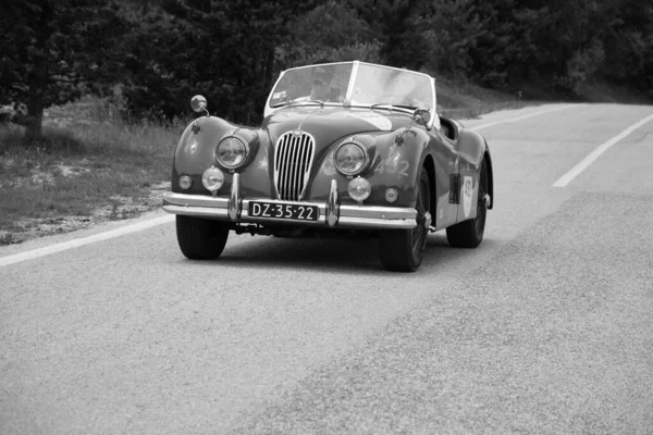 Urbino Włochy Jun 2022 Jaguar Xk140 Ots Roadster 1957 Stary — Zdjęcie stockowe