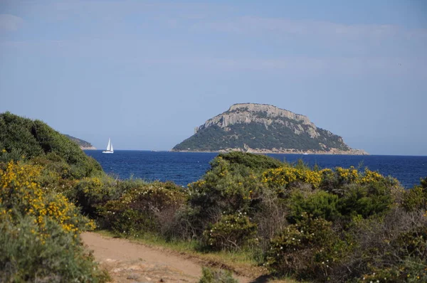 Figaroli Insel Sardinien Italien Sommer 2023 Golfo Aranci — Stockfoto