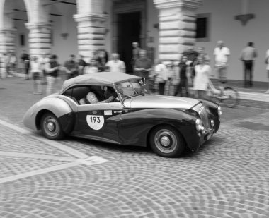 Pesaro, İtalya - 14 Haziran - 2023: HeALEY 2400 WESTLAND 1950 Mille Miglia 2023 rallisinde eski bir yarış arabası üzerine ünlü İtalyan tarihi yarışı (1927-1957)