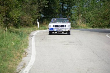 Tavoleto, İtalya - 16 Eylül - 2023: ForD MUSTANG GT 1966 Coppa Nuvolari eski yarış