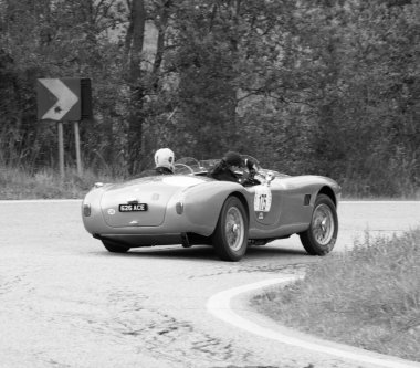 Tavoleto, İtalya. 16 Eylül 2023: AC ACE BRISTOL 1956 Coppa Nuvolari eski yarış