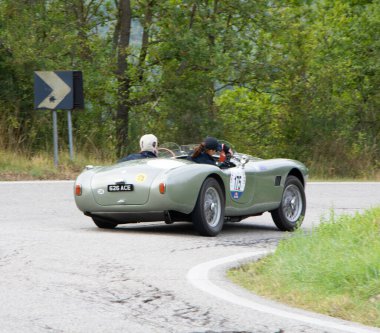 Tavoleto, İtalya. 16 Eylül 2023: AC ACE BRISTOL 1956 Coppa Nuvolari eski yarış