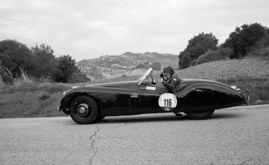 Tavoleto, İtalya - hazır. 16 - 20 23: jaguar xk 120 1952 in coppa nuvolari old race car