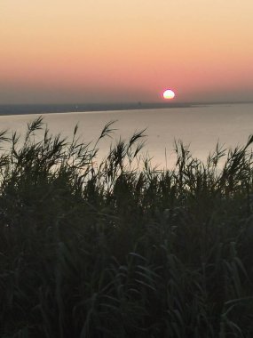 Monte San Bartolo 'dan, güneş Romagna Riviera' nın üzerinde batar, gökyüzünü ve denizi altın ve kırmızının sıcak tonlarıyla boyar. Siluetli otlar ön planda usulca sallanarak, sakin ve zamansız bir görüntü oluştururlar. Mükemmel bir güzellik anı doğanın 