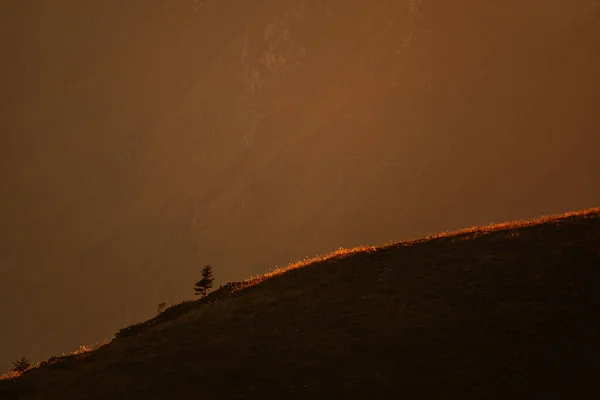 Magányos Kis Egy Hegy Tetején Idilli Narancssárga Fénnyel Háttérben Arany — Stock Fotó