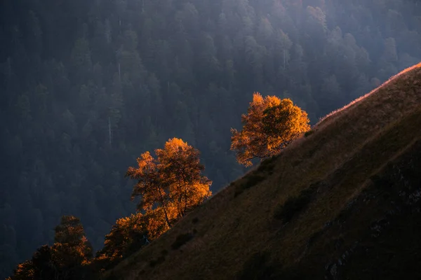 Paisaje Idílico Con Árboles Otoño Color Naranja Brillante Colina Montaña —  Fotos de Stock