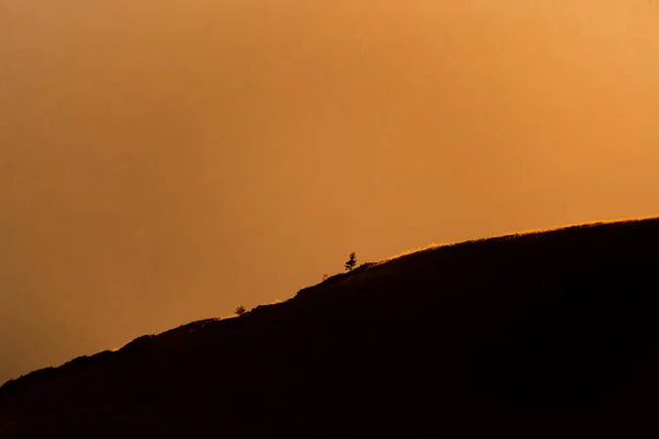 Piccolo Albero Solitario Sulla Cima Una Montagna Con Una Luce — Foto Stock