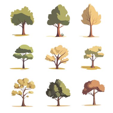 Bir grup ağaç düz tasarım vektör elementi topluyor. Bir grup botanik ağacı. Vektör illüstrasyonu beyaz arkaplanda izole edildi.