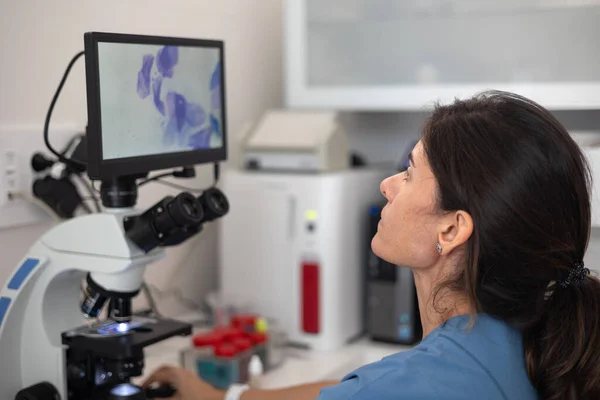 Veterinär Tittar Bild Digital Visning Mikroskopet — Stockfoto