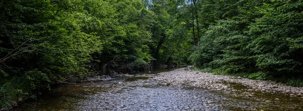 森の中の川 美しい自然の背景 — ストック写真