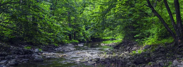 Річка Лісі Прекрасний Фон Природи — стокове фото