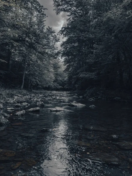 Красива Маленька Річка Зеленими Деревами Березі — стокове фото