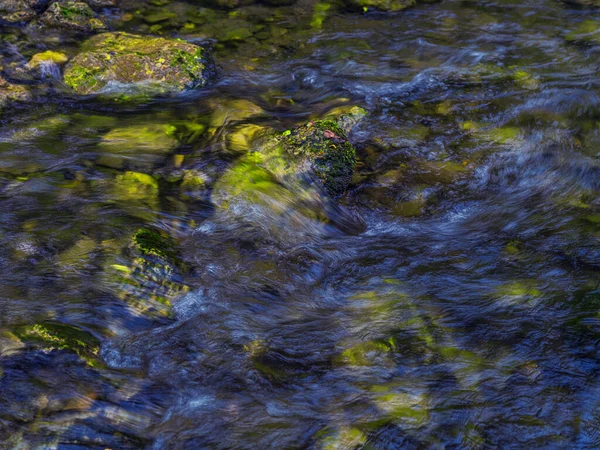 Řeka Lese Krásné Přírodní Pozadí — Stock fotografie