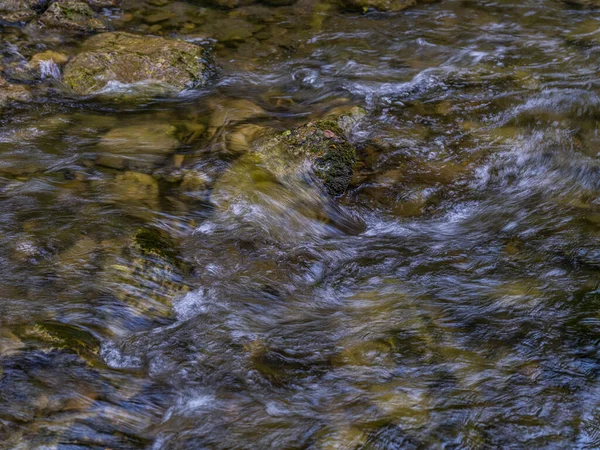 Річка Лісі Прекрасний Фон Природи — стокове фото
