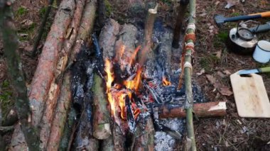 Bir koruyucu açık ateşte yemek pişirir. Eylem vahşi bir ormanın vahşi doğasında gerçekleşir..