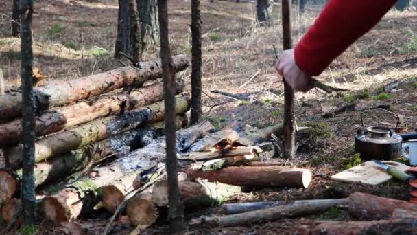 Připravovatel Vaří Jídlo Otevřeném Ohni Akce Odehrává Divočině Divokého Lesa — Stock video