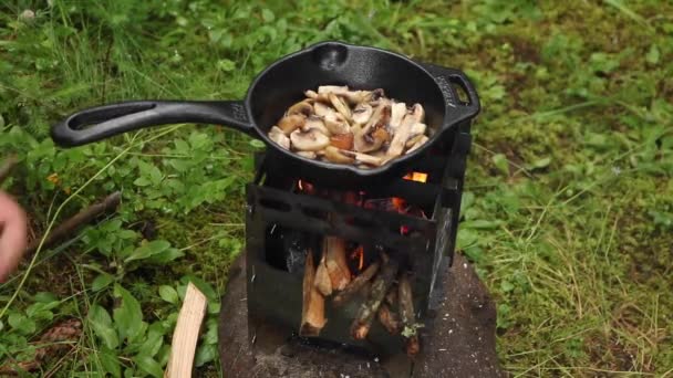 荒野料理を体験する 野生林でのオープンファイアロースト — ストック動画