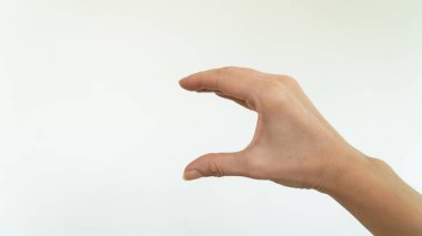 Hand holding an object, holding a sandwich, showing size. High quality photo