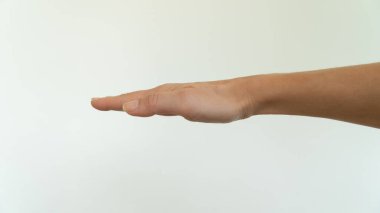 Straightened palm horizontally on white background. High quality photo