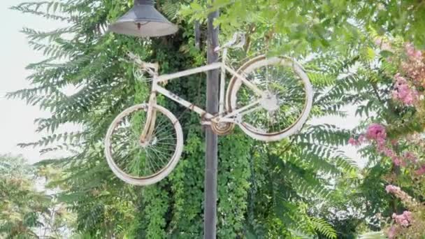 Велосипед Висить Лампочці Поруч Фоні Дерева — стокове відео
