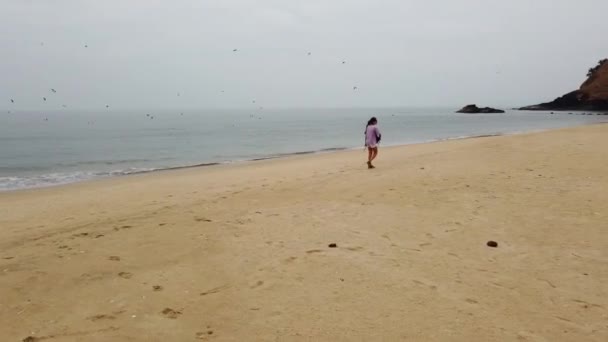 無人機から撮影 バックパックを持つ女の子は 空のビーチに沿って歩き カモメは海の上を飛ぶ 高品質のフルHd映像 — ストック動画