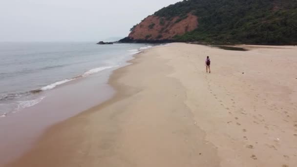 バックパックを持った女の子が海の空撮で無人の野生のビーチを歩く 高品質のフルHd映像 — ストック動画